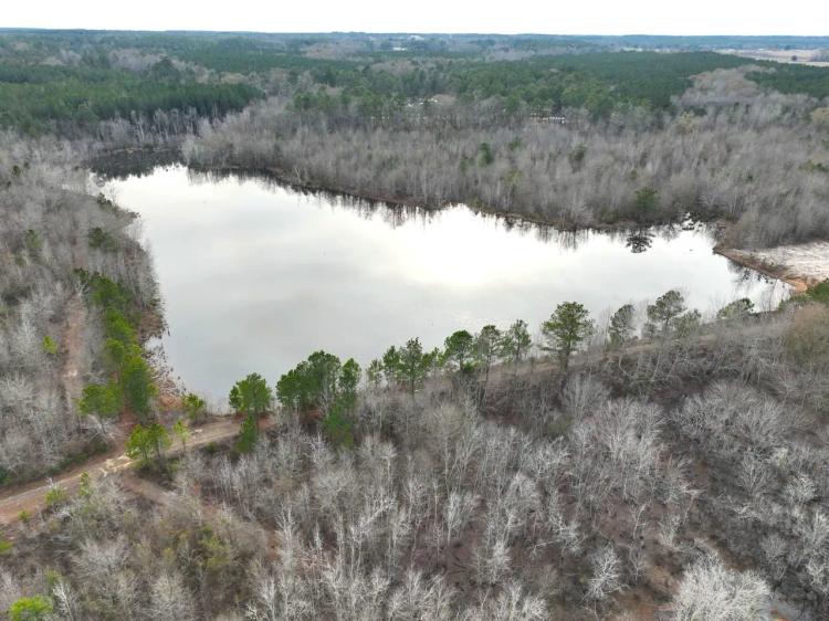 71+/- Ac Land for Sale with 8+ Ac Pond for Sale in Dodge County, Ga