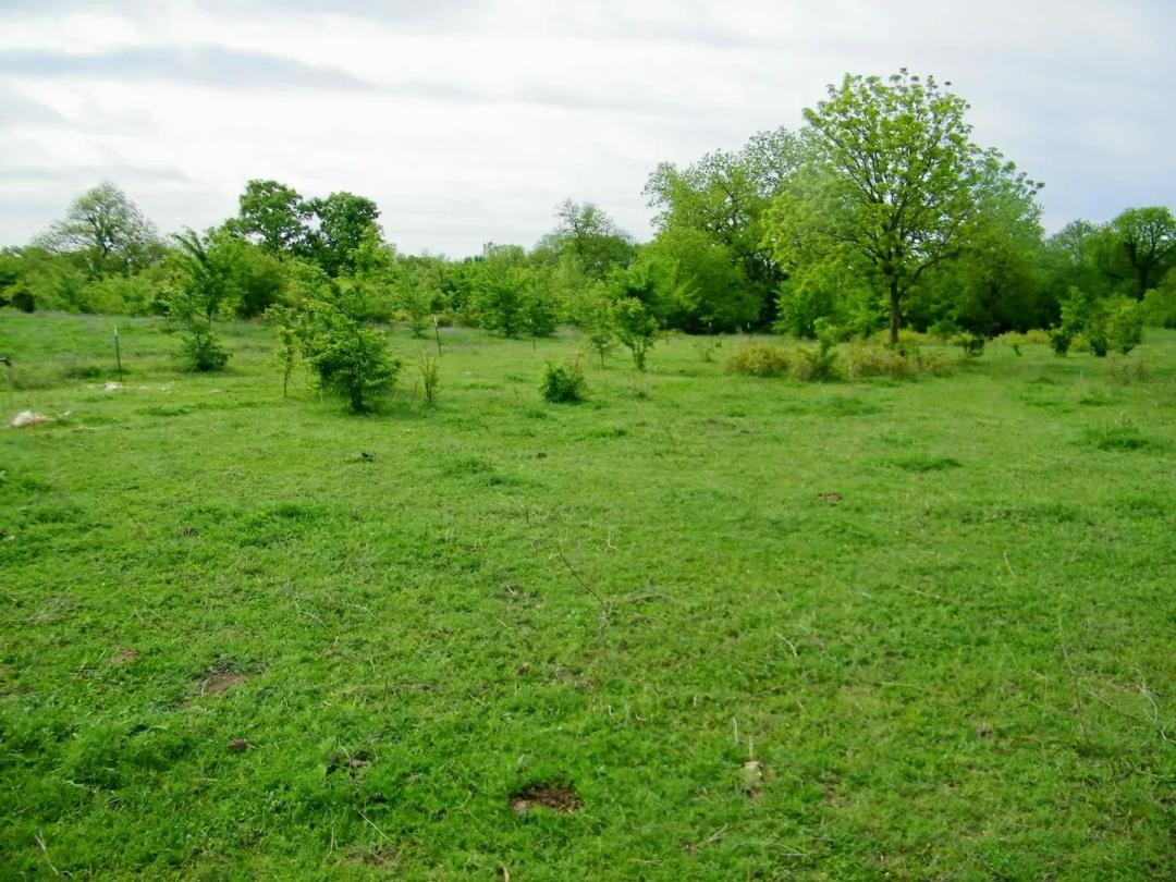 Cocklebur Ranch in Carter County OK