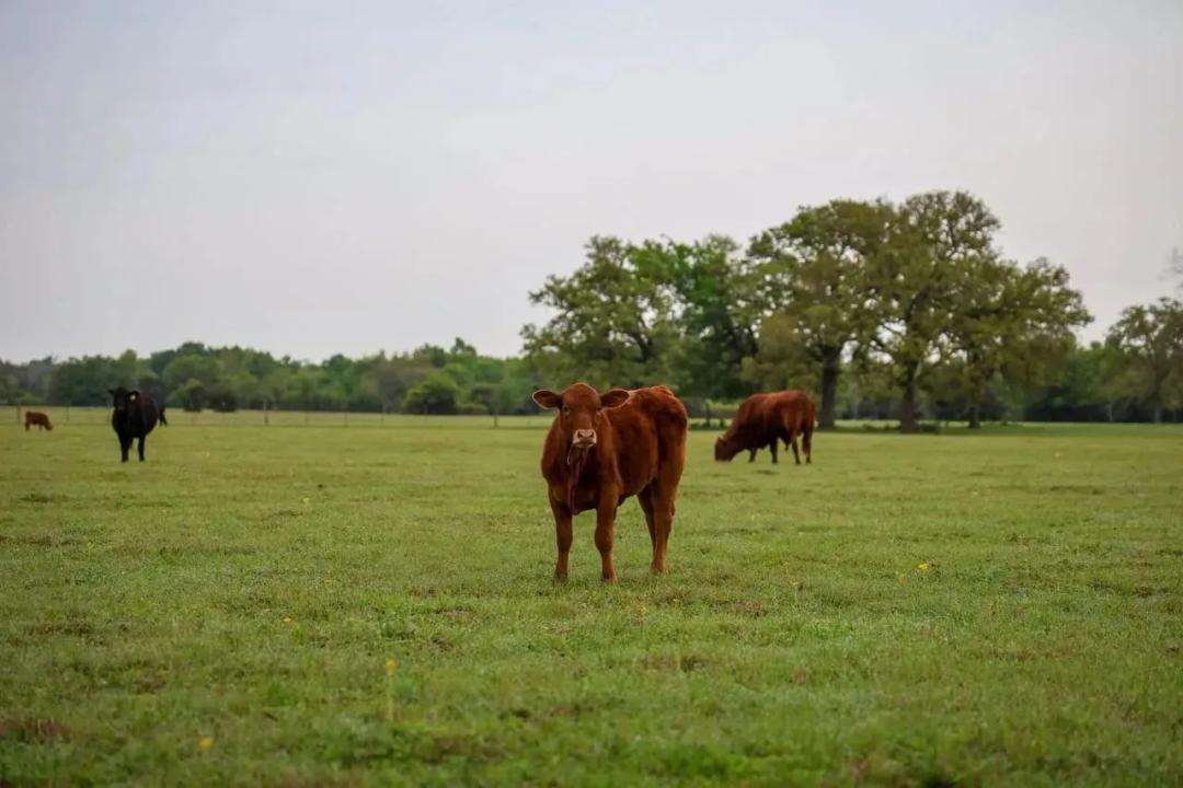 Dunn Ranch