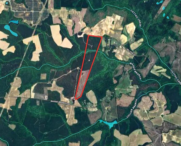 84 acres of Timber Land For Sale in Greensville County VA!