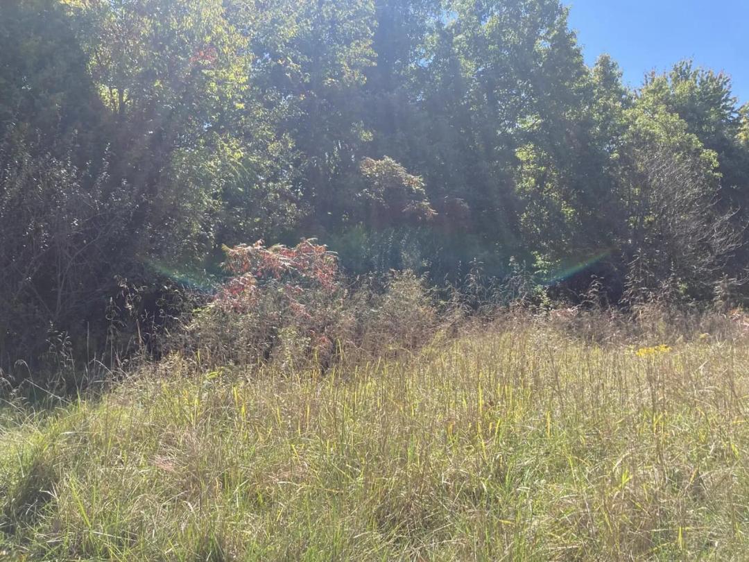 White Oak Circle Lots 58-60