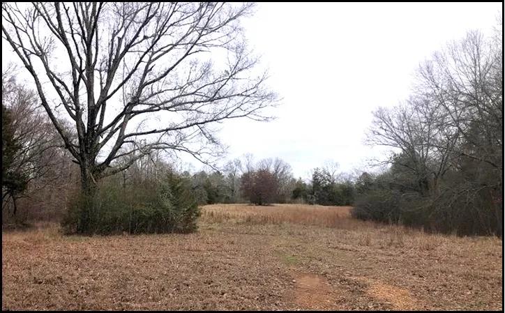 50 Acres in Holmes County in Goodman, MS 
