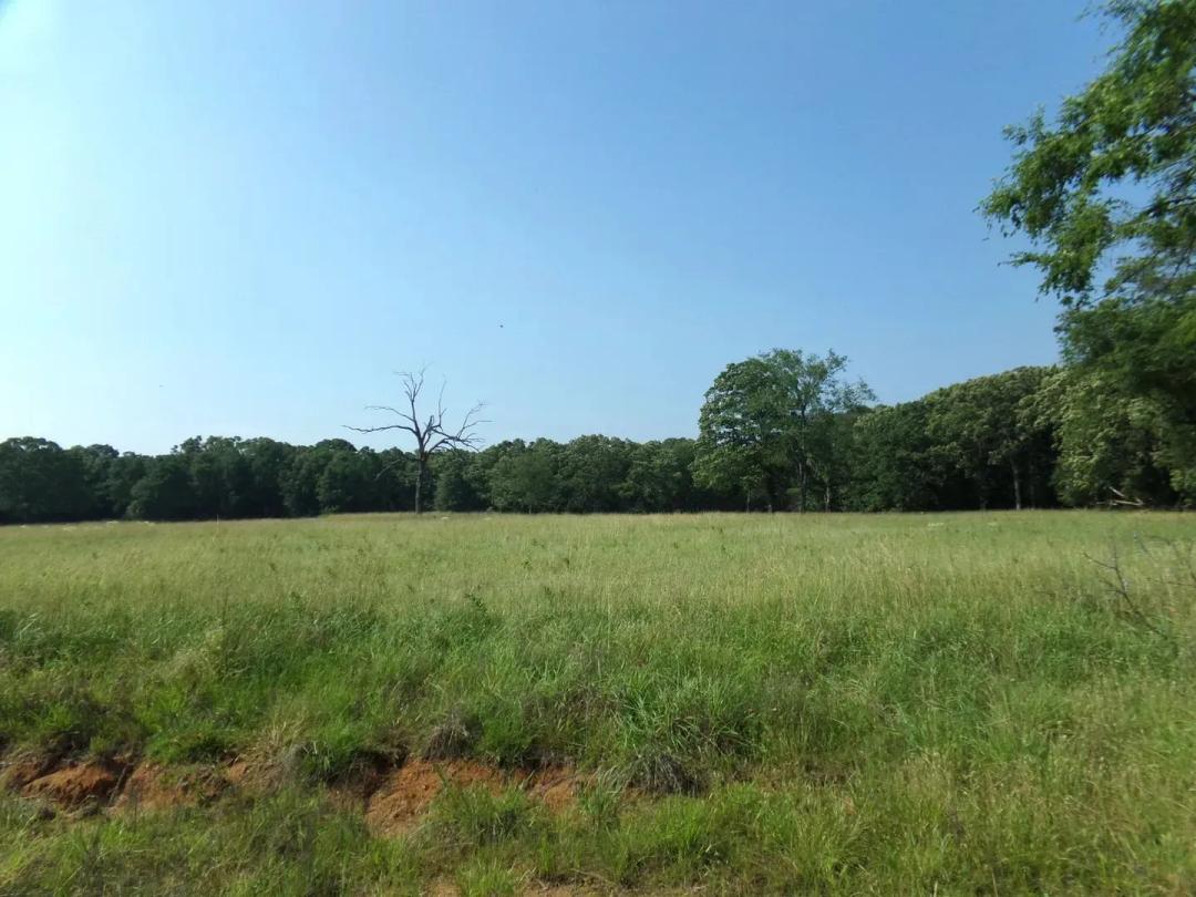 Partially Wooded Acreage Bagwell TX, Red River Co TX