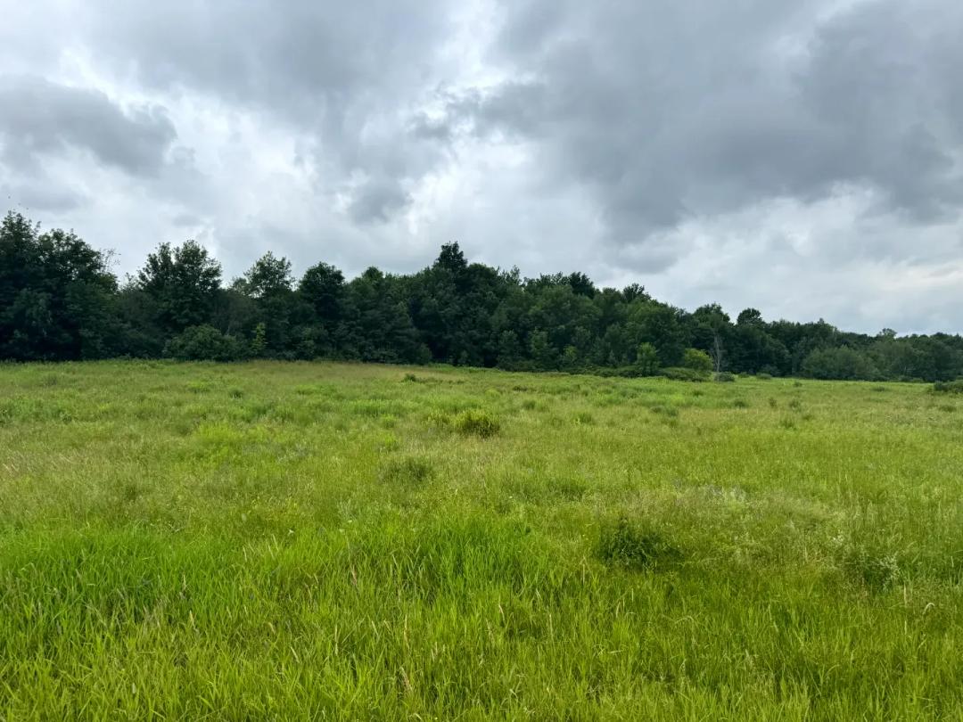 Oxbow Meadows