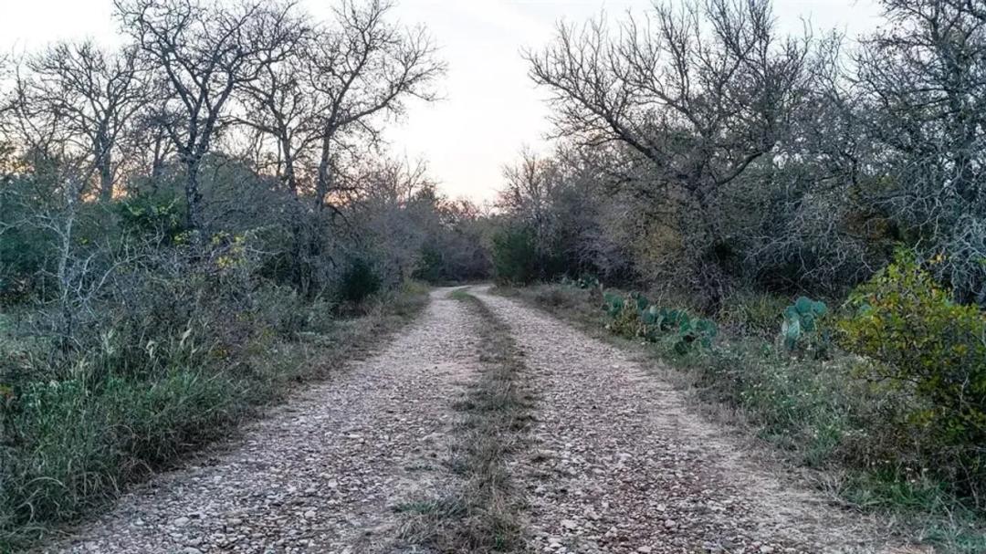 137 Shady Oaks Loop, Cedar Creek, Texas 78612