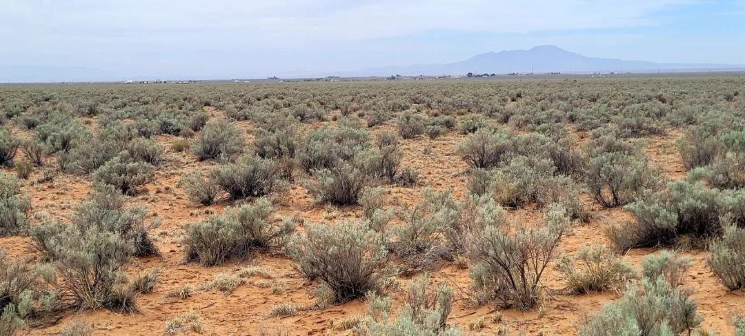 Sunny Central New Mexico 1/2 acre