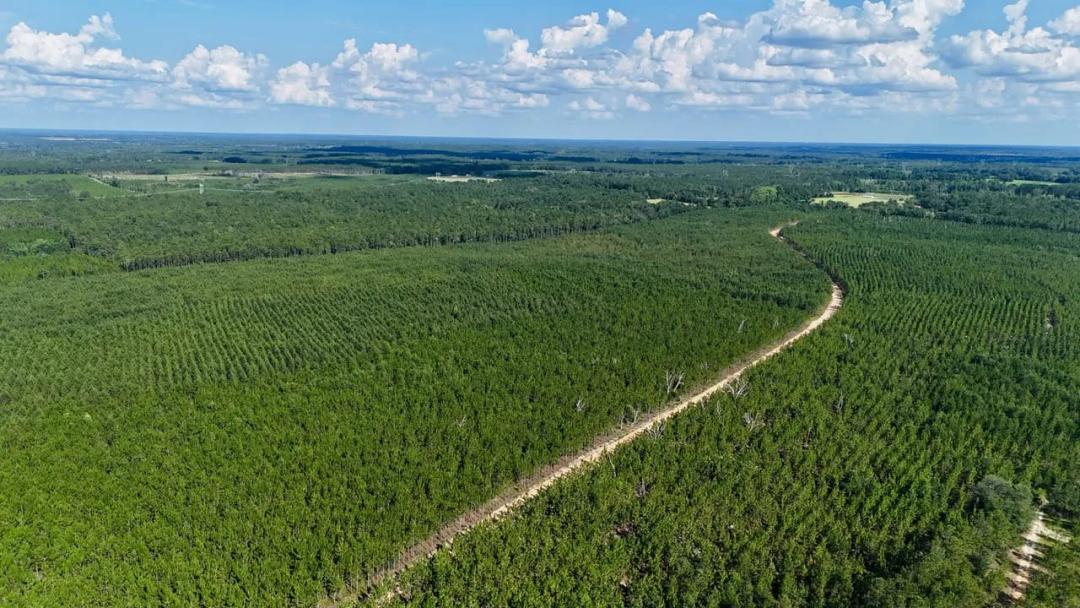Tract 13 - 4.734 Acres in Penny Morris Road, Baxley, GA