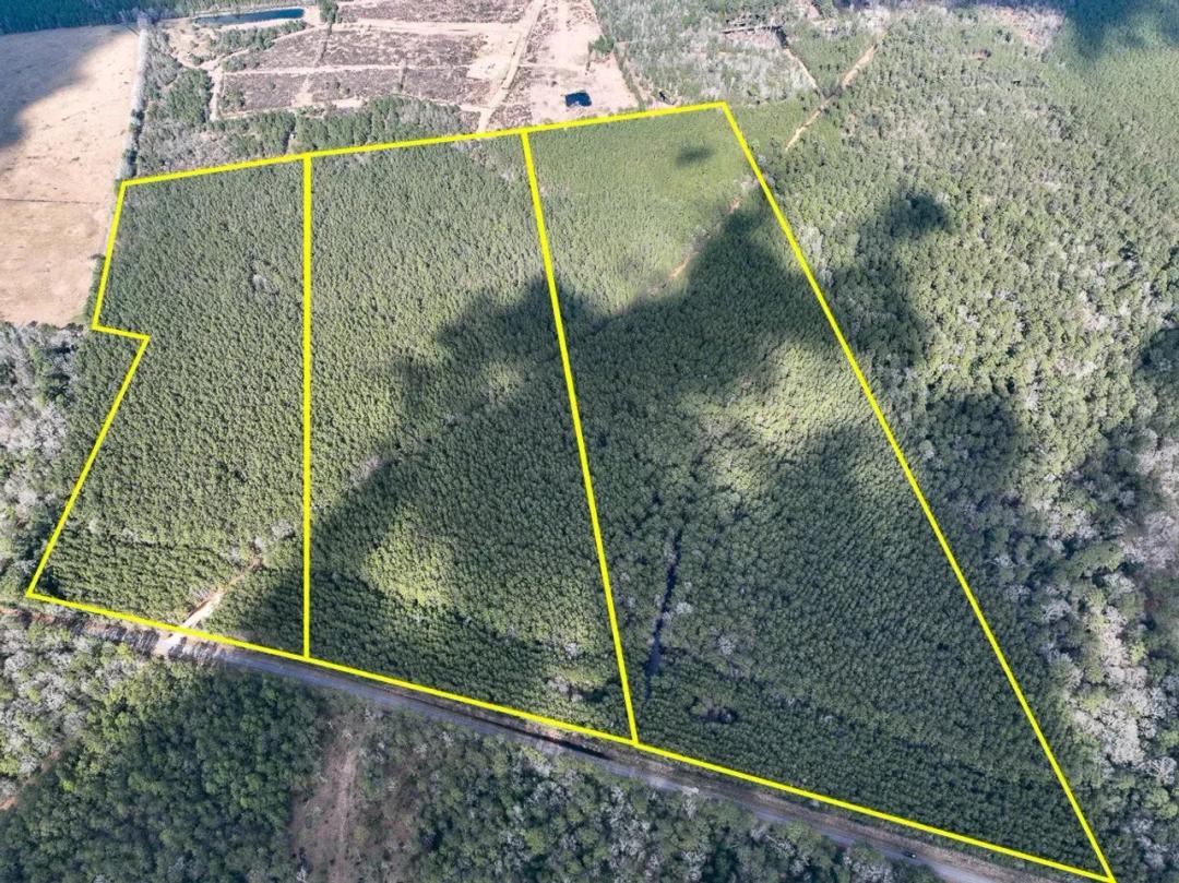 29 Acres | T-1 | Laird Road | 01528