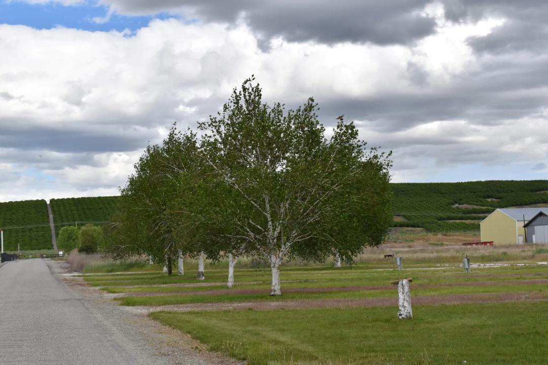 Brewster Ridge Ranch