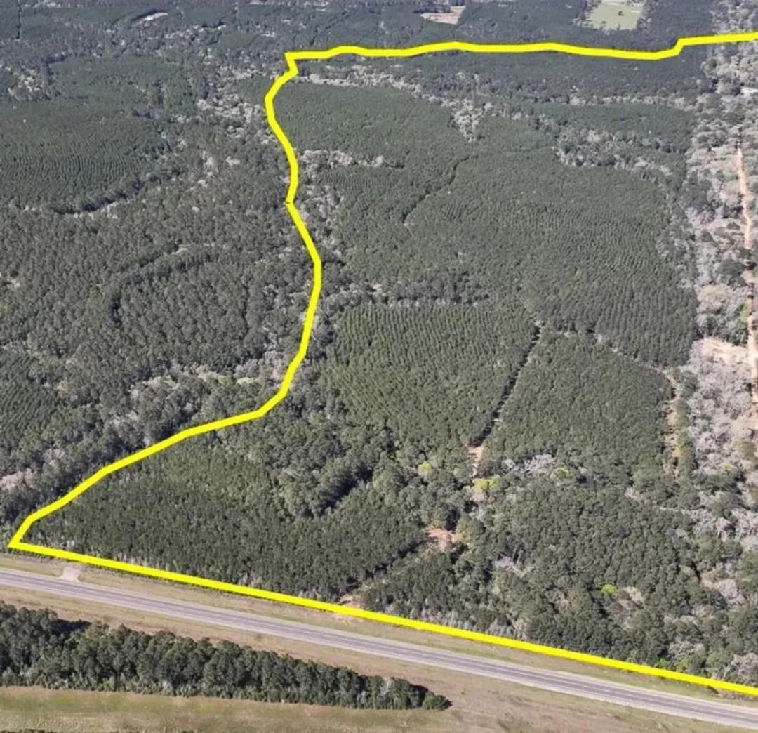 248 Acres | T-5 | Highway 146
