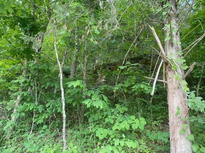 Little Piney Acres Tract 1
