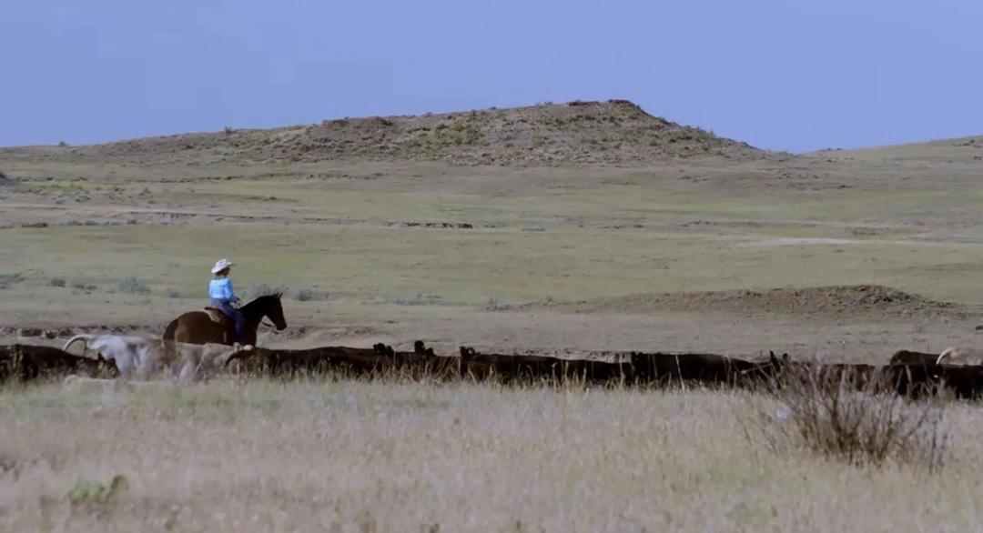 Over the Cliff Ranch