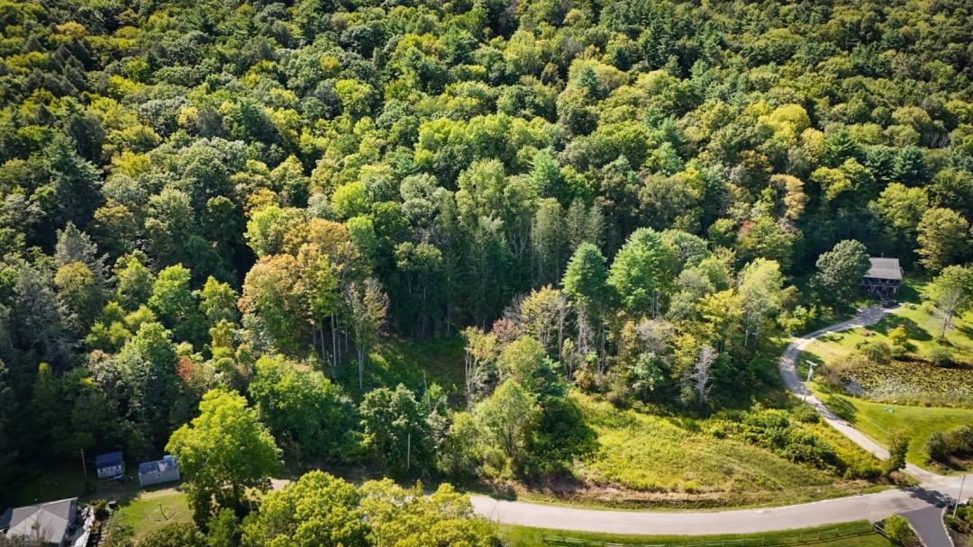 Valley View Potential, Timber Value, and a Trophy Track Record
