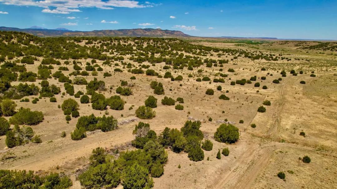 Kickin' Kunzite Road Acreage