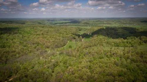 299-acres-with-home-in-mi-2