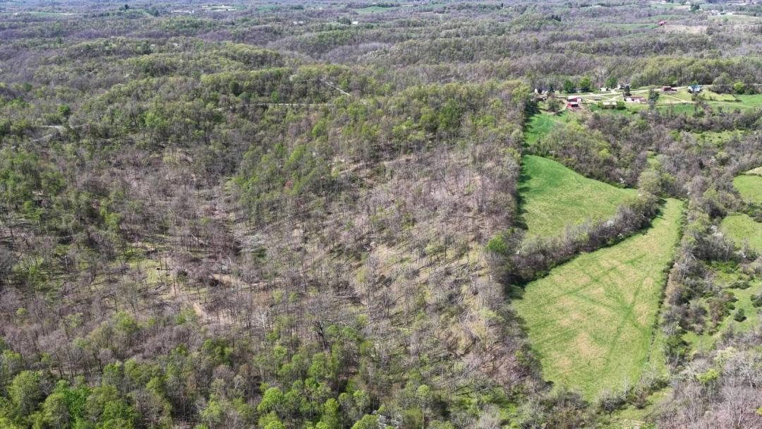 elmont County Ohio Land for Sale | 23 Acres