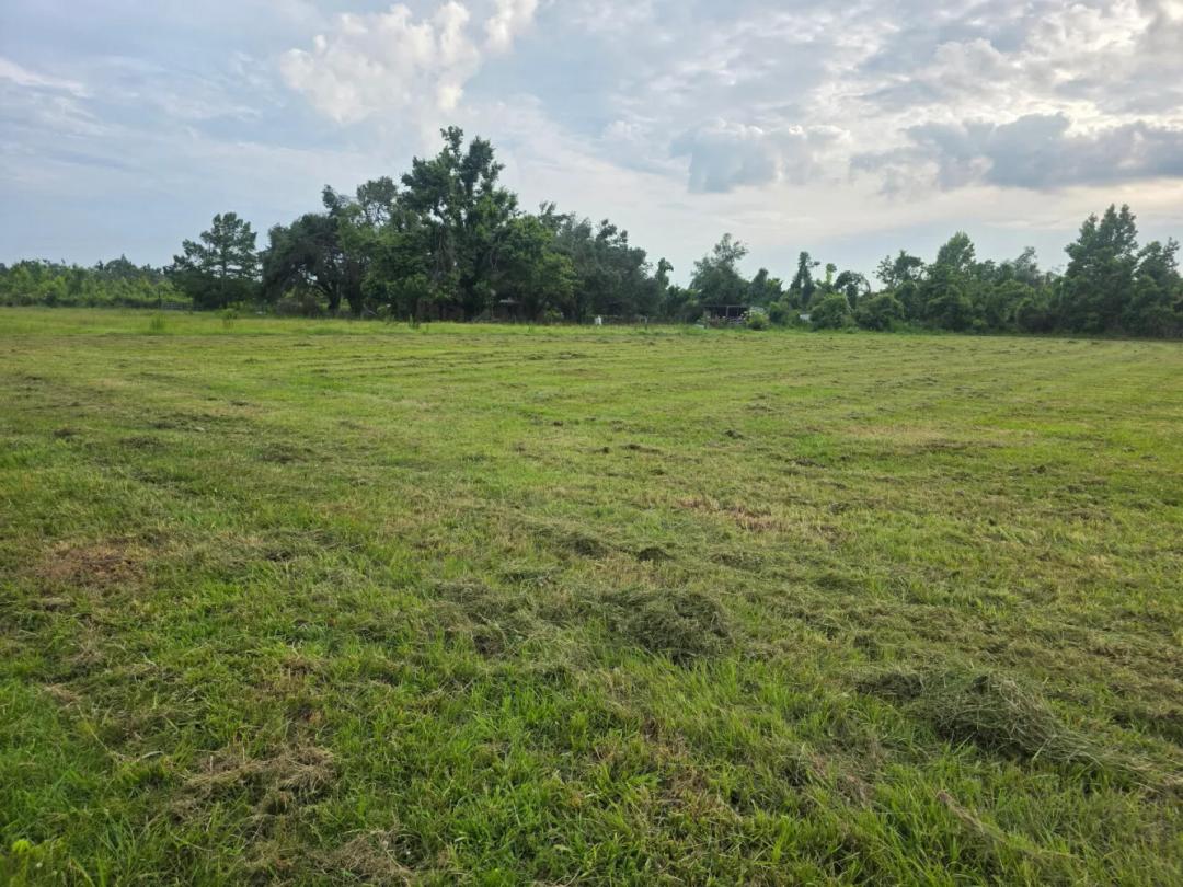 0.50 Acres at 359 Kelly LP