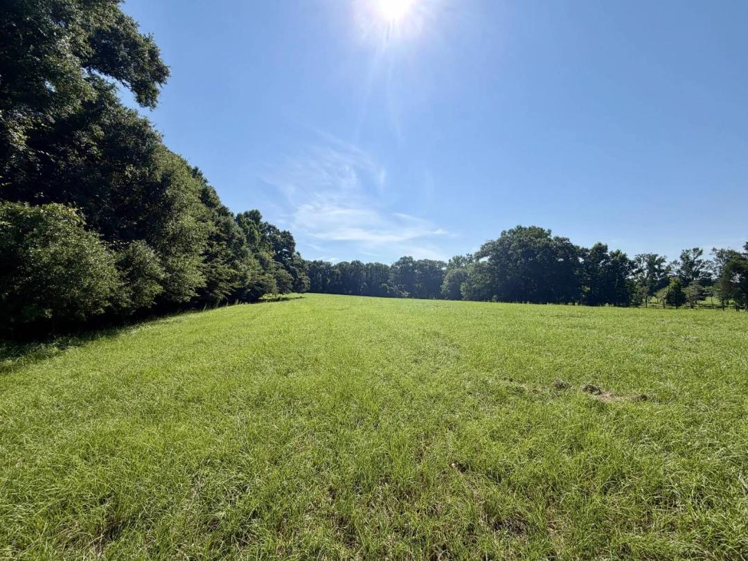 Escape to Quiet Country Living in Rutledge, AL