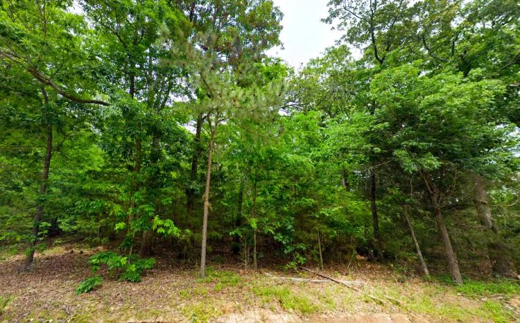 Rural Level Wooded Lot - 1.4 Acres