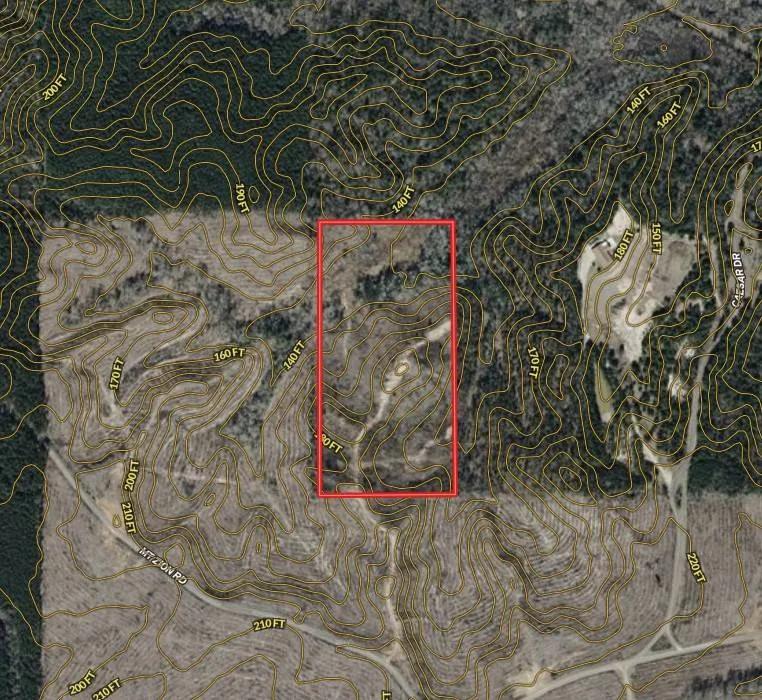 20 Acres+/- Caldwell Parish, LA