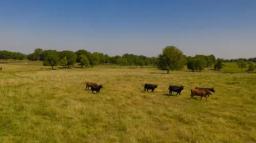 110-acres-farm-ranch-in-11