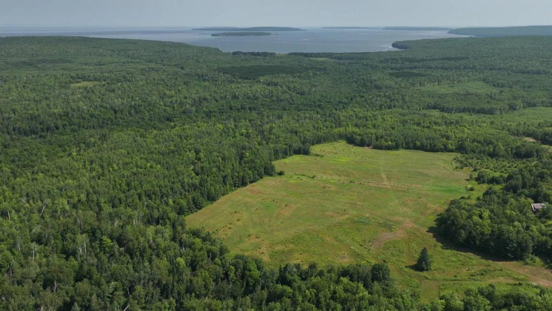 Premier Bayfield Peninsula Hunting Land With Building Locations