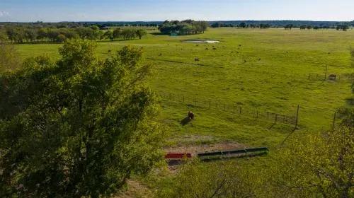 320-acres-vacant-land-in-9
