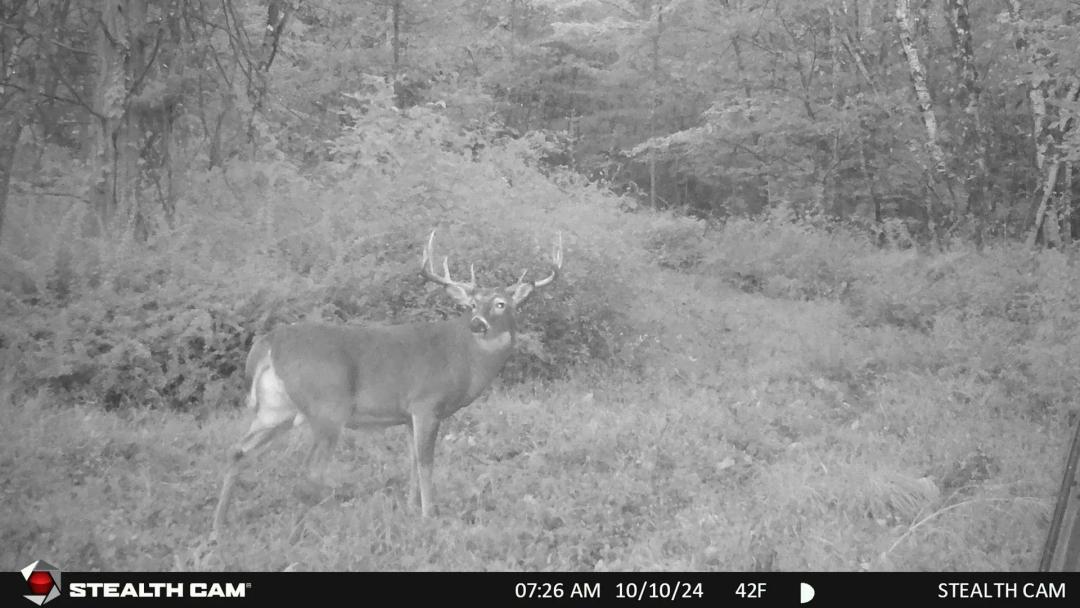 Hunting and Recreational Property for sale in Southwest Wisconsin