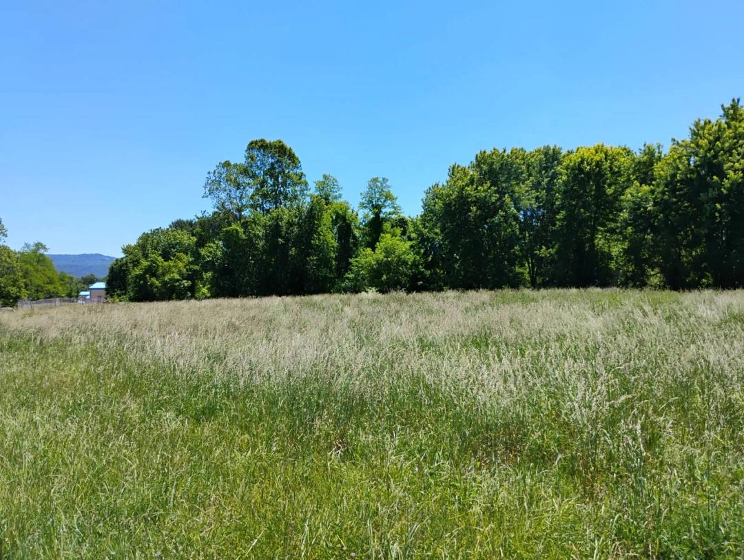 2.83 Prime Commercial Acres Just Off US-119 in Uniontown