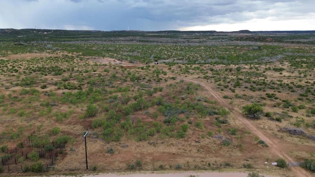 New Listing!! 37+/- AC (Tr 6), Taylor County
