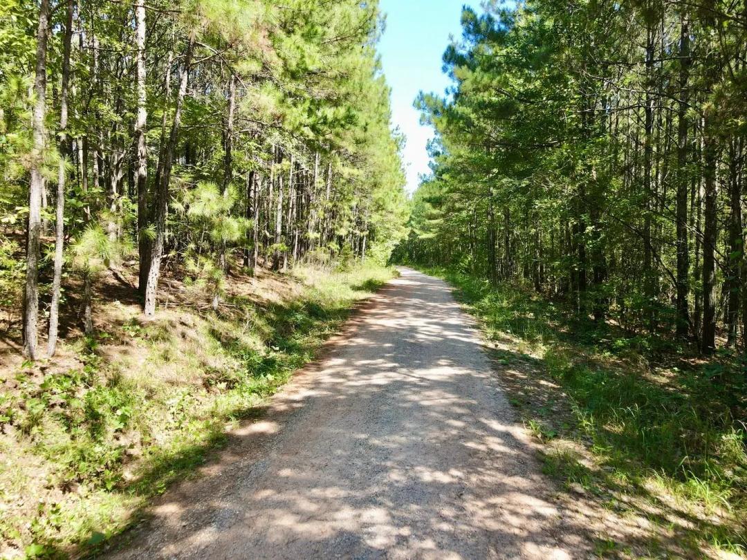 6.18 acres Creek rd. Ashland, AL