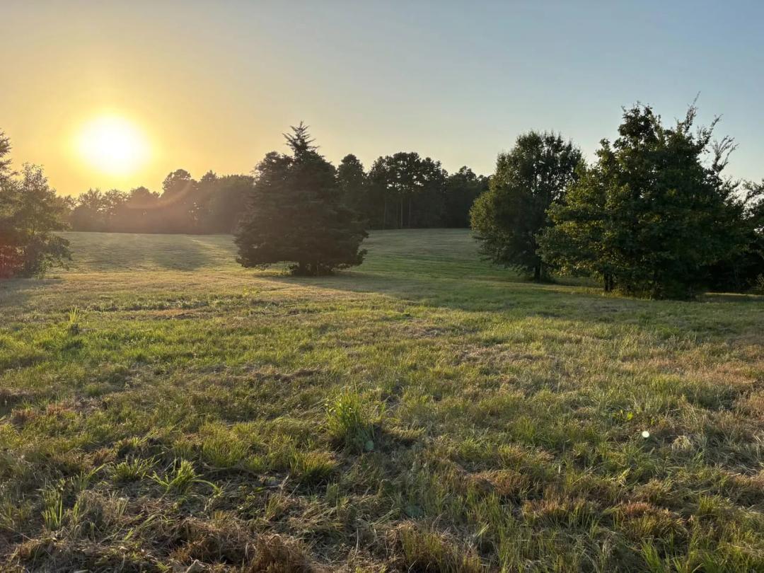 40 Acres with 2 Ponds | Build, Hunt & Ranch Near Pine Creek Lake