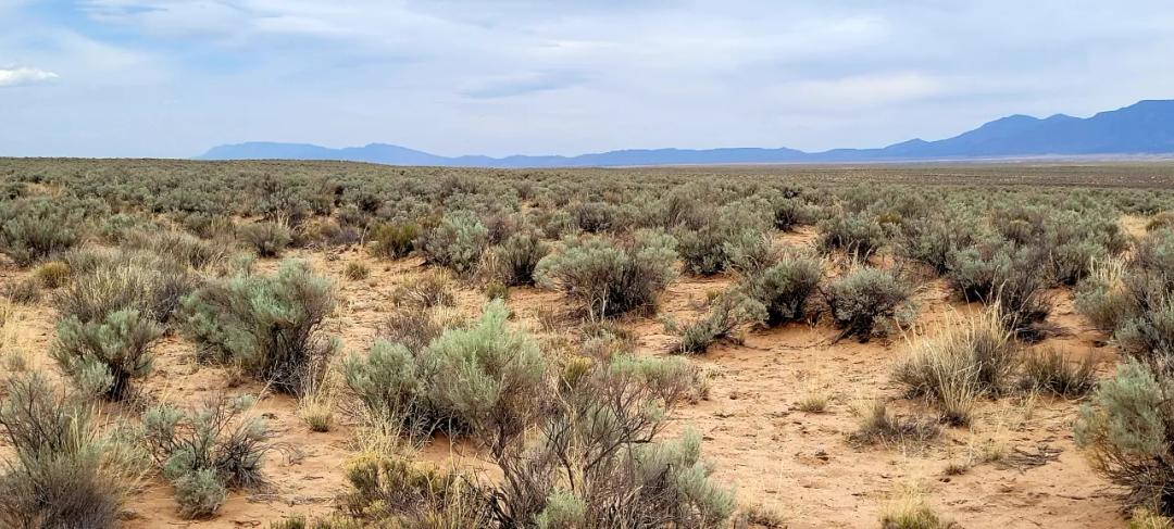 Belen New Mexico - Residential Building Lot - Mobiles OK