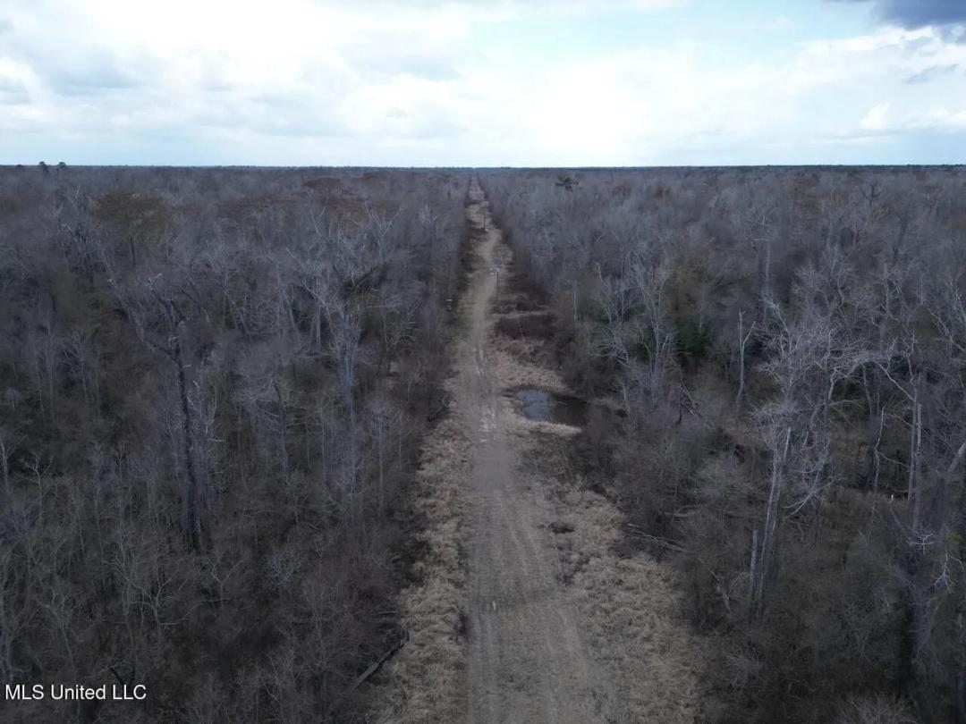 700 Acres in Allen Parish, Louisiana