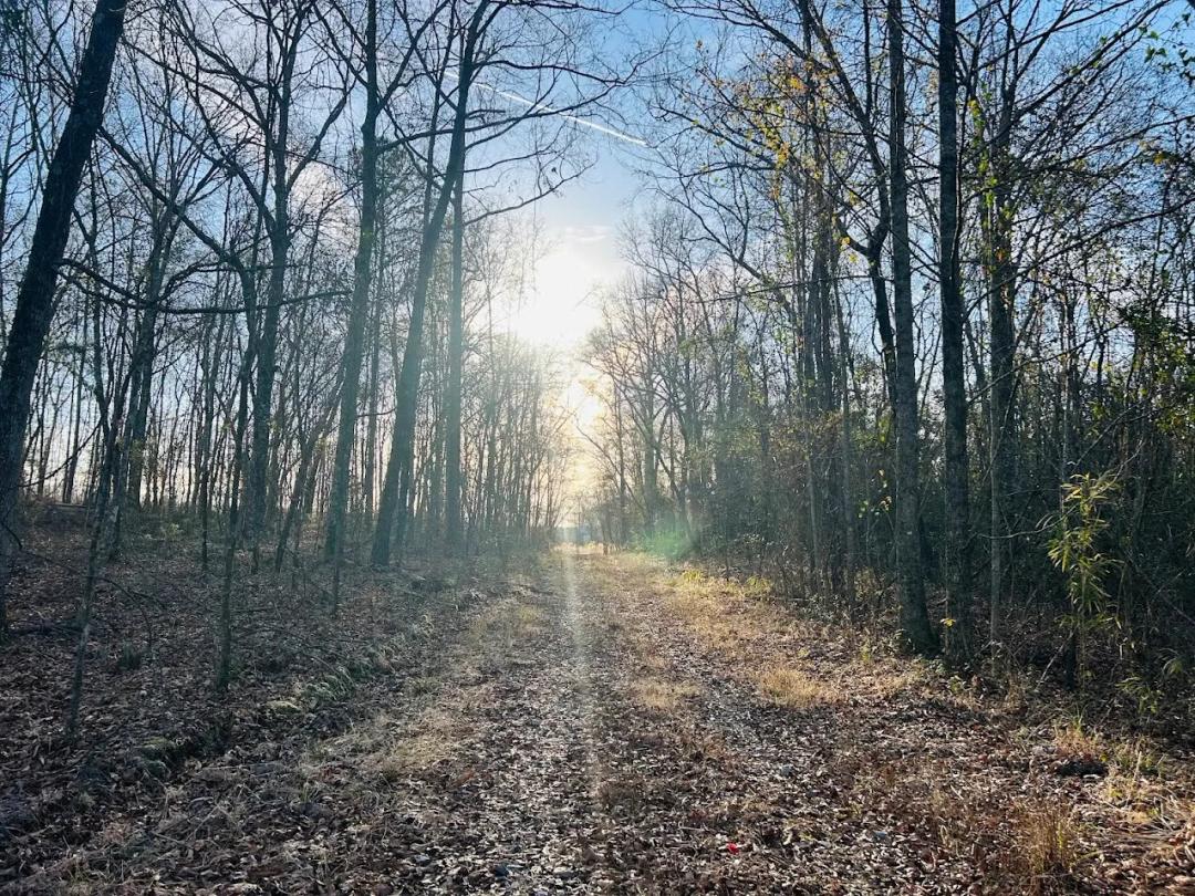 173.00 Acres at 0 Bickley Road Tract A