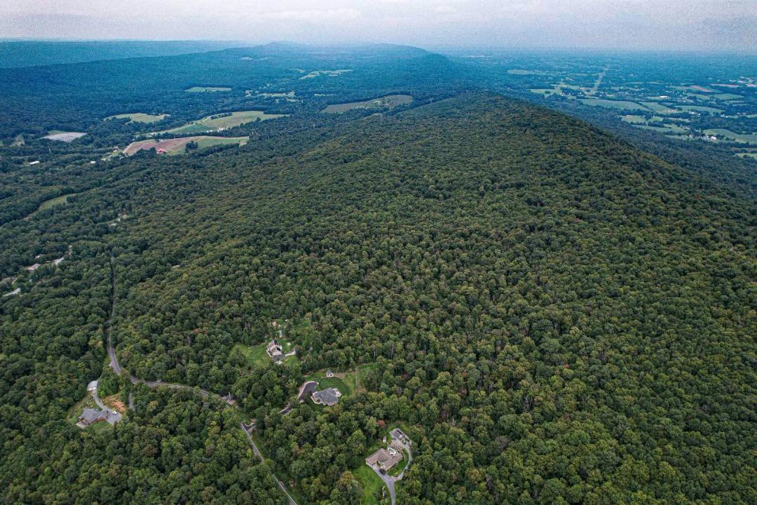 Hunting Land and Mountain Homesite for Sale on Blue Mountain