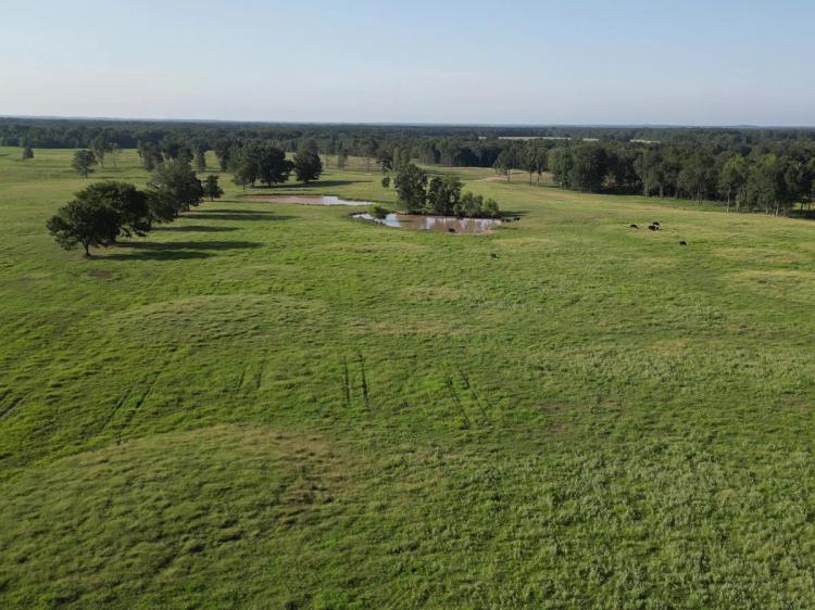 1100 Acres Welch’s 3 Creeks Cattle Ranch 