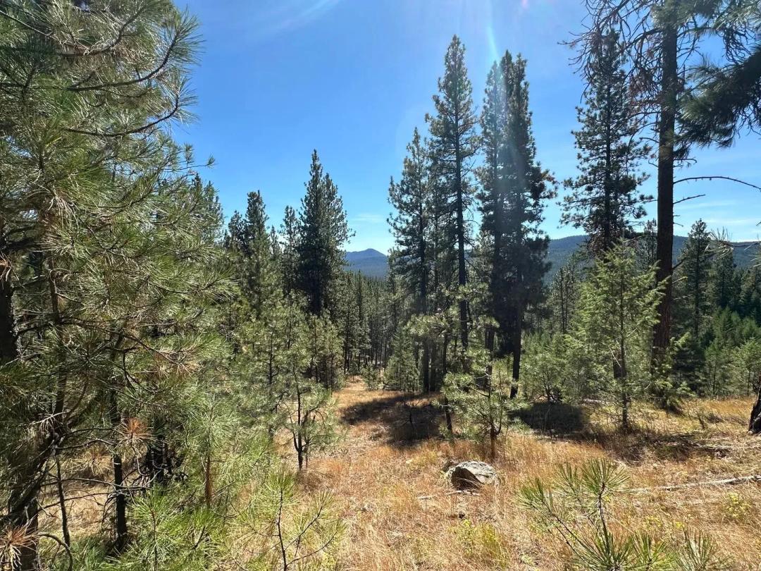 30 Acres in Sumpter, OR - Your Perfect Retreat Awaits!