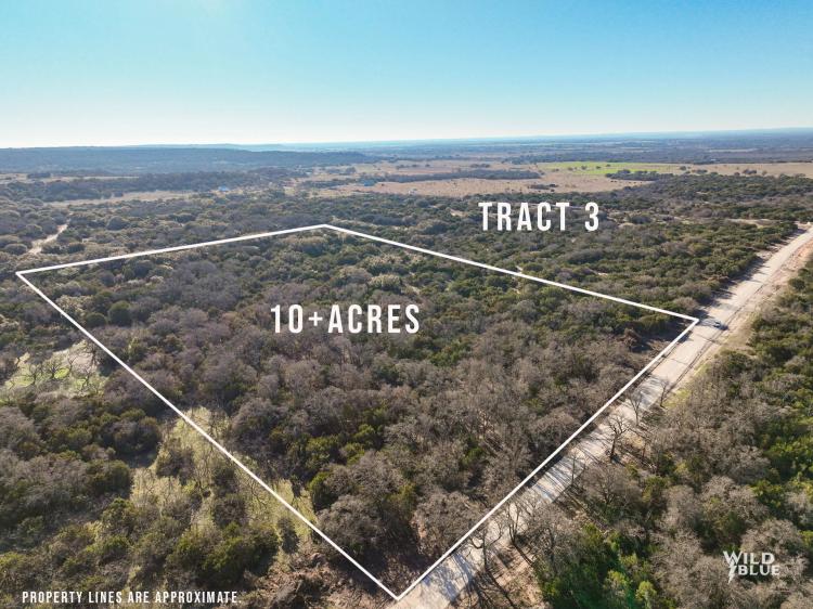 New Listing!! 10+ Acres, Taylor County (Tract 3)