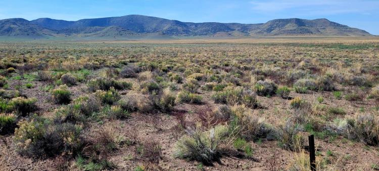 30 acres  east of  Manassa Colorado * No restrictions