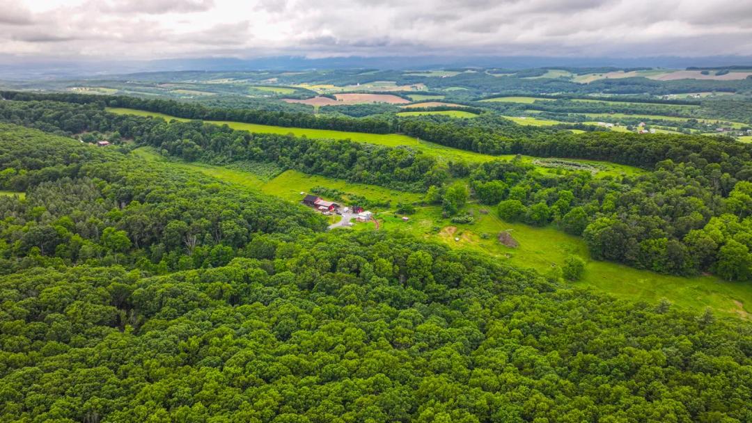 Established Farm with Barn, Home, Timber & Tillable Ground