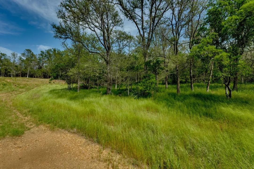 111 Hauula Ct, Bastrop, Texas 78602