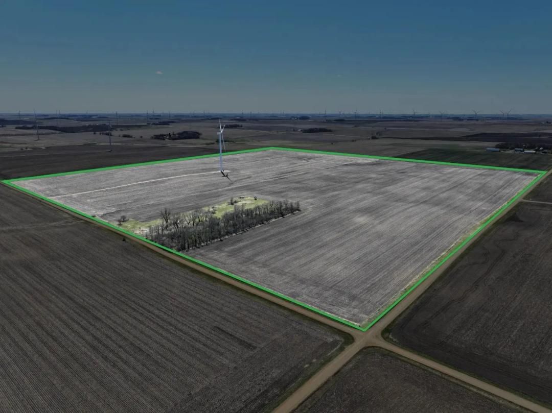 160± Acre Farm Auction Murray County, Minnesota