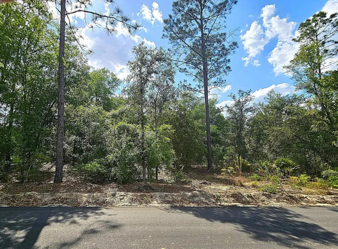 Lot 6 - The Reserve Phase II Blackshear, GA Pierce County