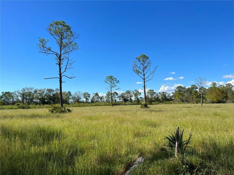 20+/- Acres In Labelle, Florida