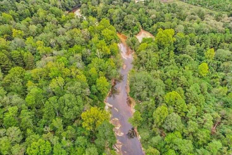 685 Acres Leaf Riverfront Land for Sale Covington Co., MS