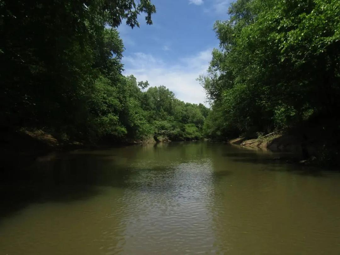 Excellent Little River 80 Acres