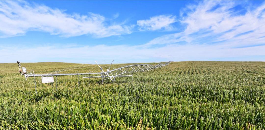 160 Acres, Western Lincoln County Pivot Absolute Auction