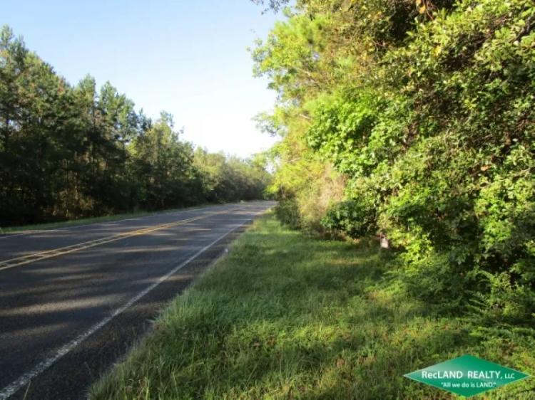 9.66 ac - Wooded Tract in Town to Build on