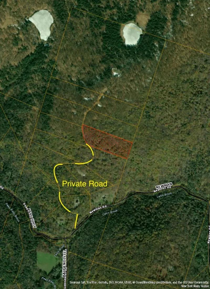 "LOT 13" - 10 Acres in Hall's Forest